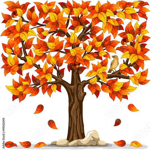 Autumn tree