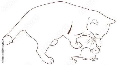 cat plays with a mouse