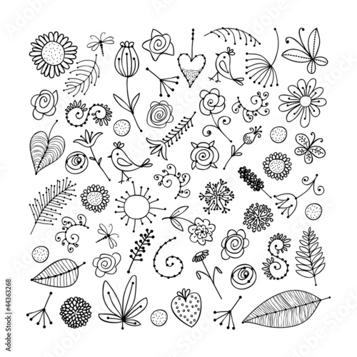Sketch of floral elements for your design