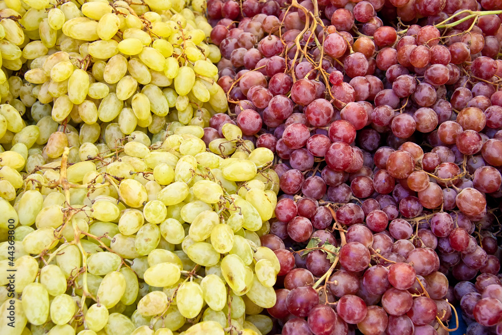 A Bunch Of Fresh Organic White And Red Grapes A Bunch Of Fresh Organic White And Red Grapes