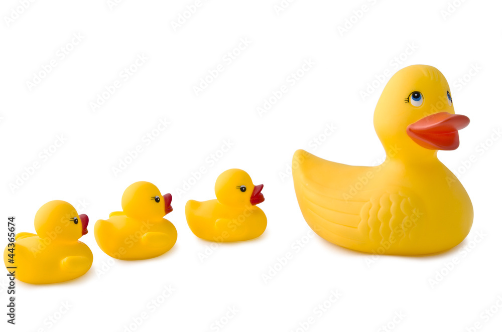 Fototapeta premium Rubber ducks