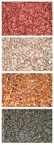 Variety of pulses