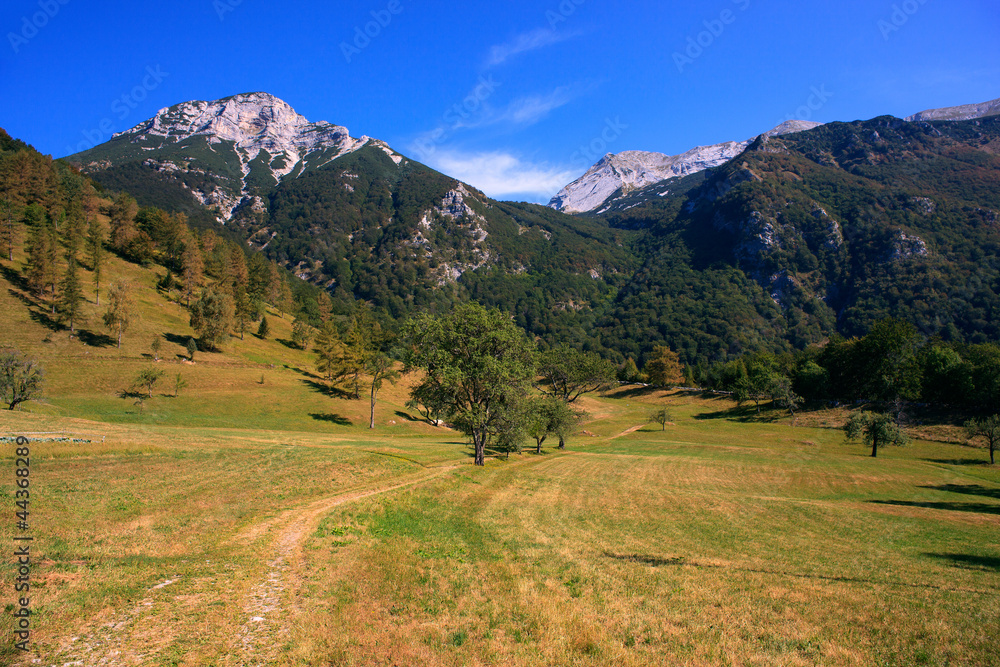 Tolminska Migovec, Slovenia Tolminska Migovec, Slovenia