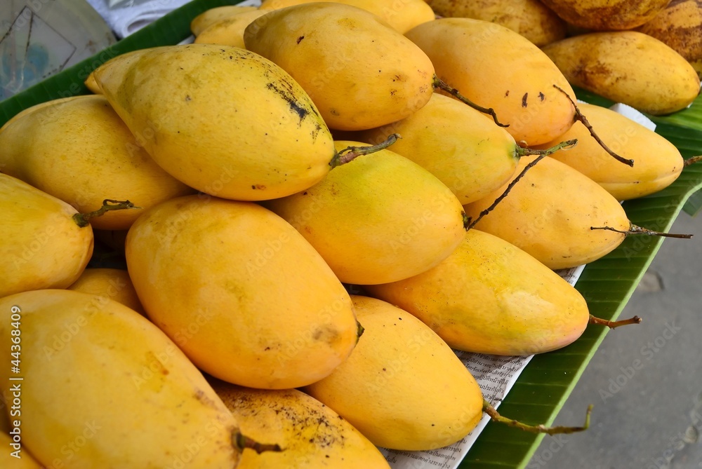 ripe mango