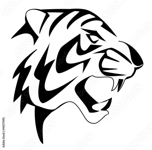 tiger face