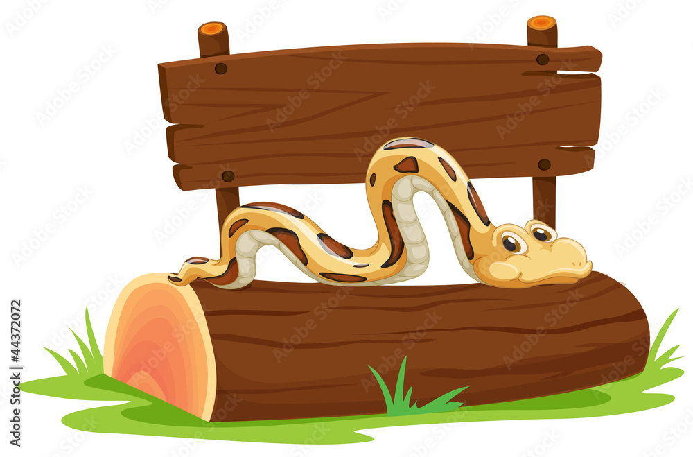 Snake Snake