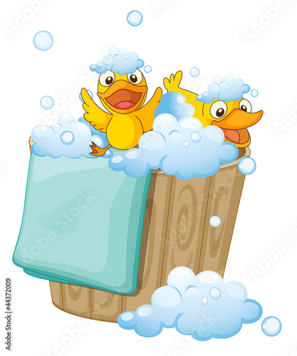 duckling in a foam bucket