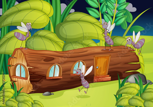 wood house and mosquitos