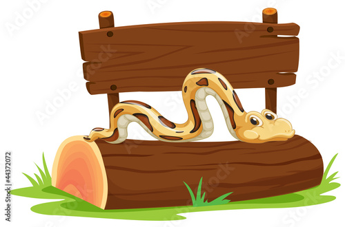 Snake