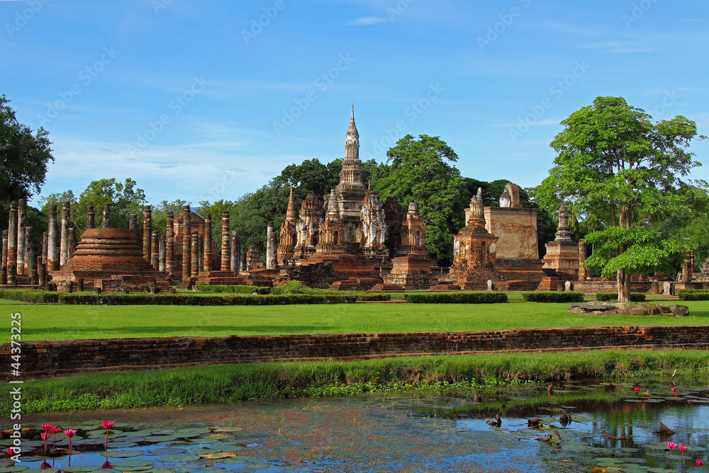 Fototapeta premium green grass and architectre