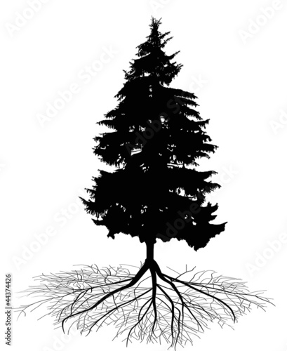 fir tree with root silhouette
