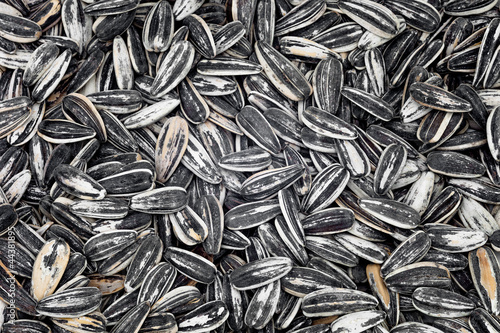 Fotografie Sunflower seeds