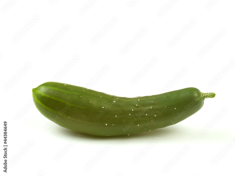 Green fresh cucumber isolated on white background Green fresh cucumber isolated on white background