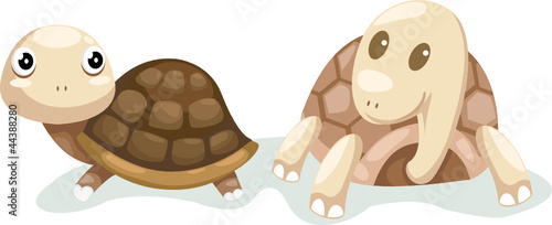 Turtles