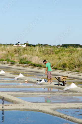 marais salant, saunier en action