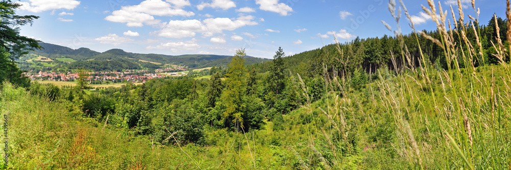 Landschaft im Thüringer Wald, Panoramafoto