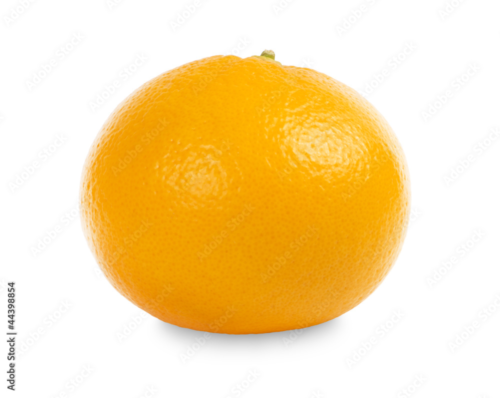 Orange Orange