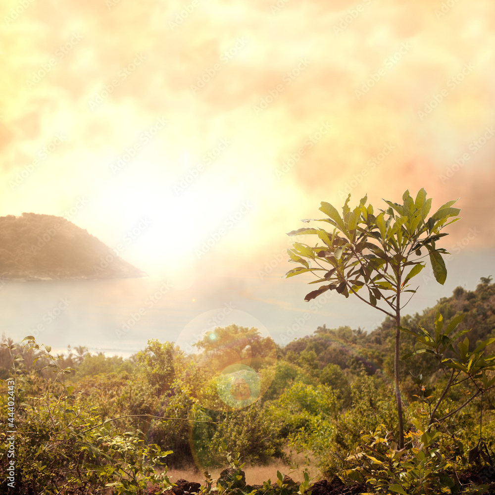 Obraz premium photobeach-1