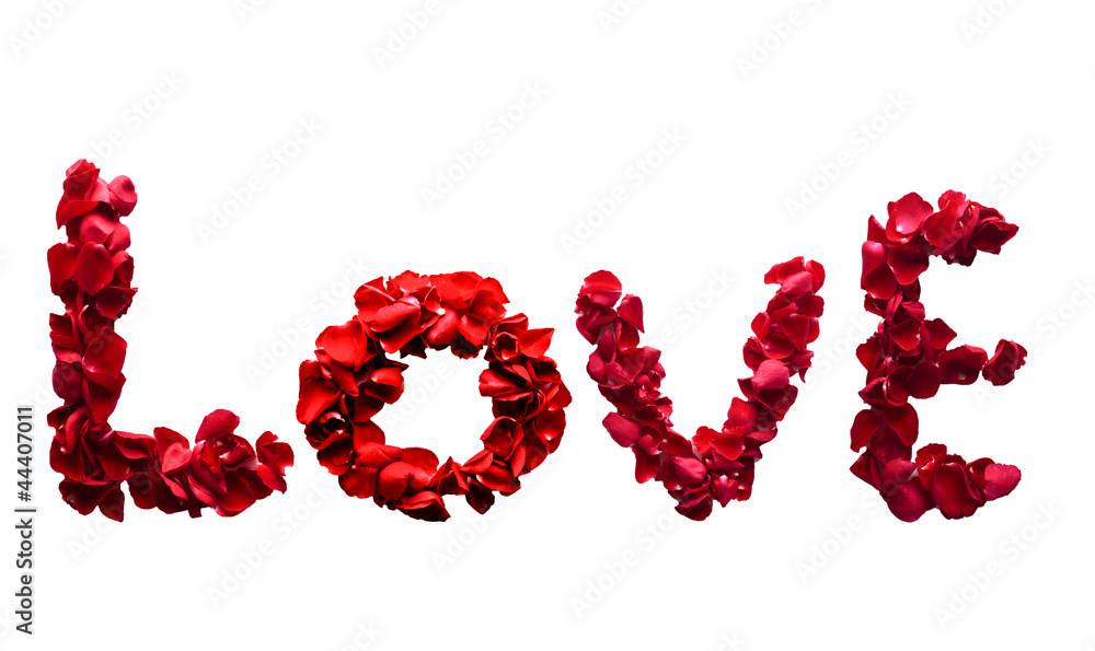 Alphabet letter LovE made from red petals rose isolated on a whi