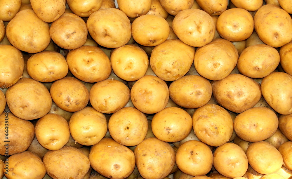 Potatoes on the counter in the market Potatoes on the counter in the market