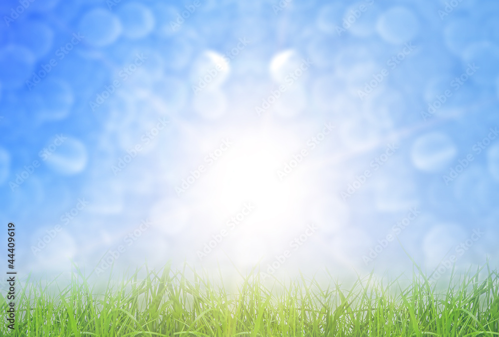 grass grass