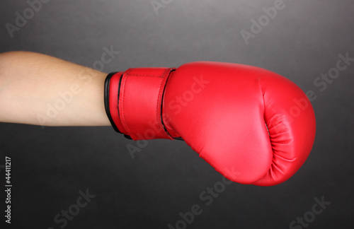 Red boxing gloves on hands on grey background © Africa Studio