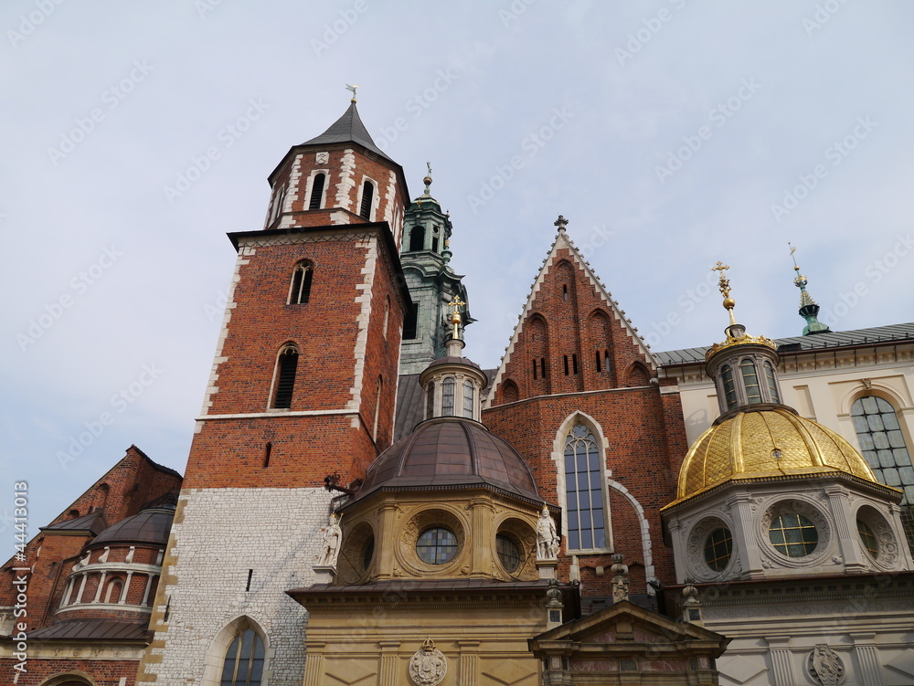 The cathedral  on the Wawel hill in Krakow in poland