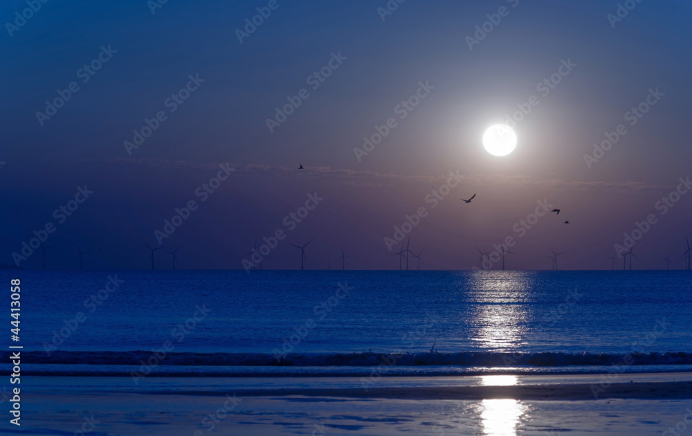 Fototapeta premium Blue sunset at sea in summer