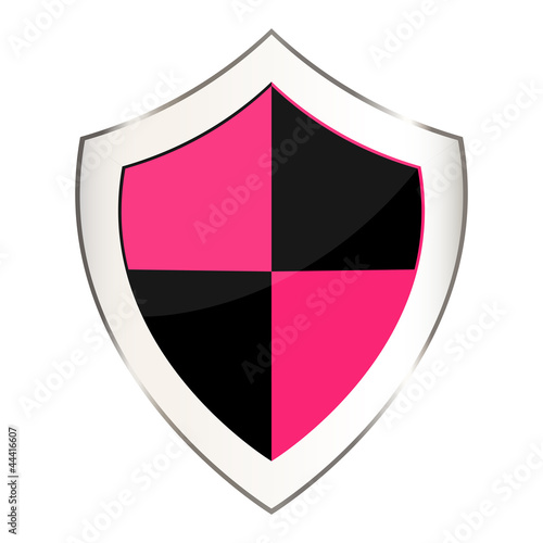 Protection shield