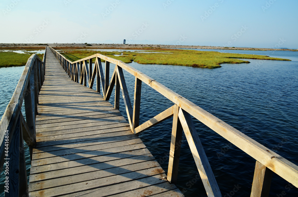 wooden bridge in a lake near to the sea