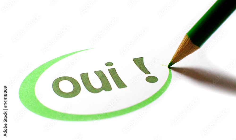 oui écrit au crayon vert