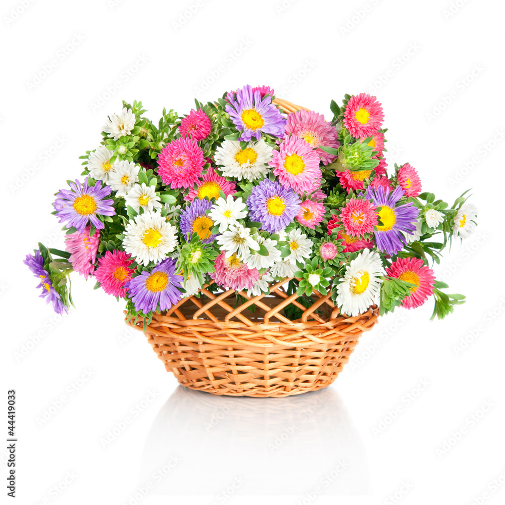 beautiful flower basket made by such as wild chrysanthemum and a