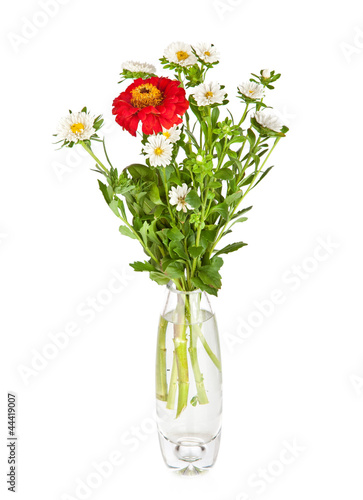 Bouquet from red daisy-gerbera and white aster in glass vase iso