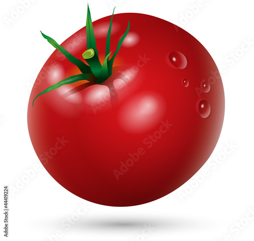 red ripe tomato