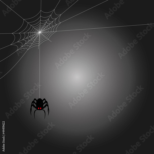 Hintergrund Halloween Spinne
