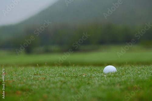 White golf ball in green grass