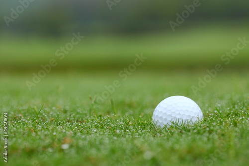 White golf ball in green grass