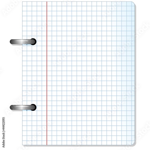 Squared Sheet Paper-Foglio di carta a Quadretti-Vector