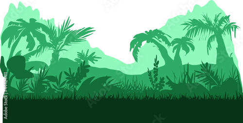 Jungle of rainforest