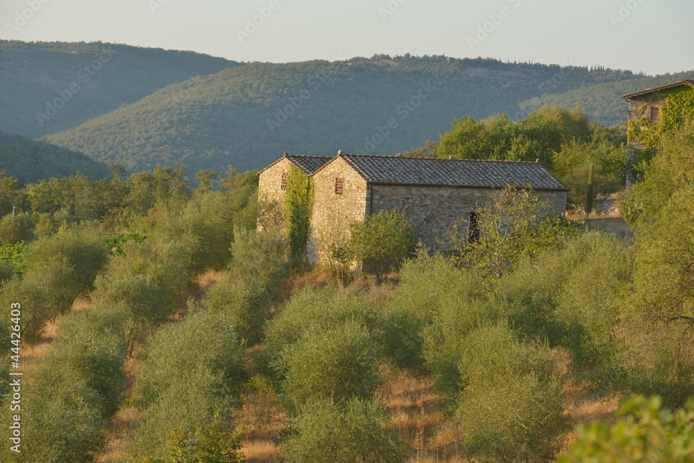 toscana