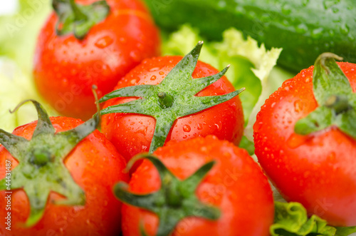 Cucumbers and tomatoes ready for salad