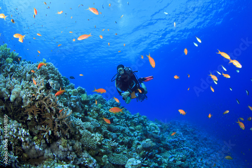 Scuba Diver explores a coral reef