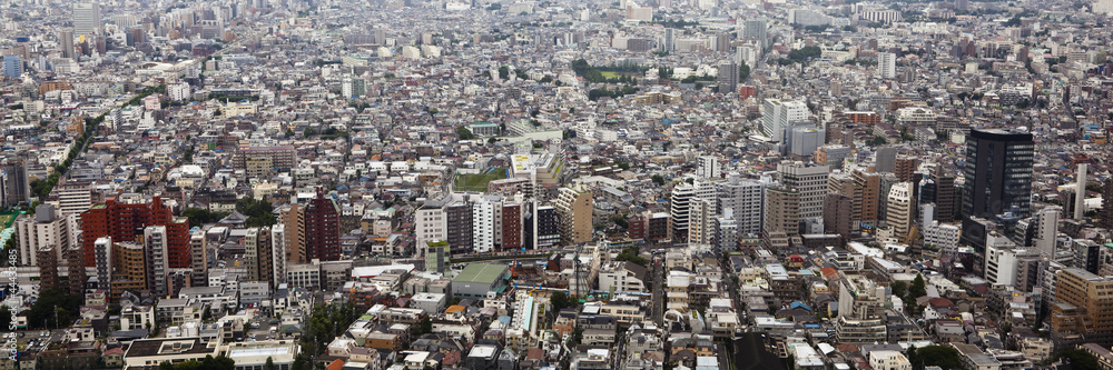 Fototapeta premium tokyo, japan: shinjuku cityscape