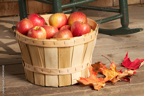 Bild auf Leinwand Shiny red apples fill a bushel basket