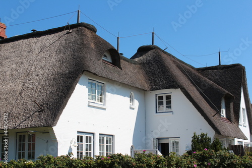 Ferienhaus mit Reetdach photo