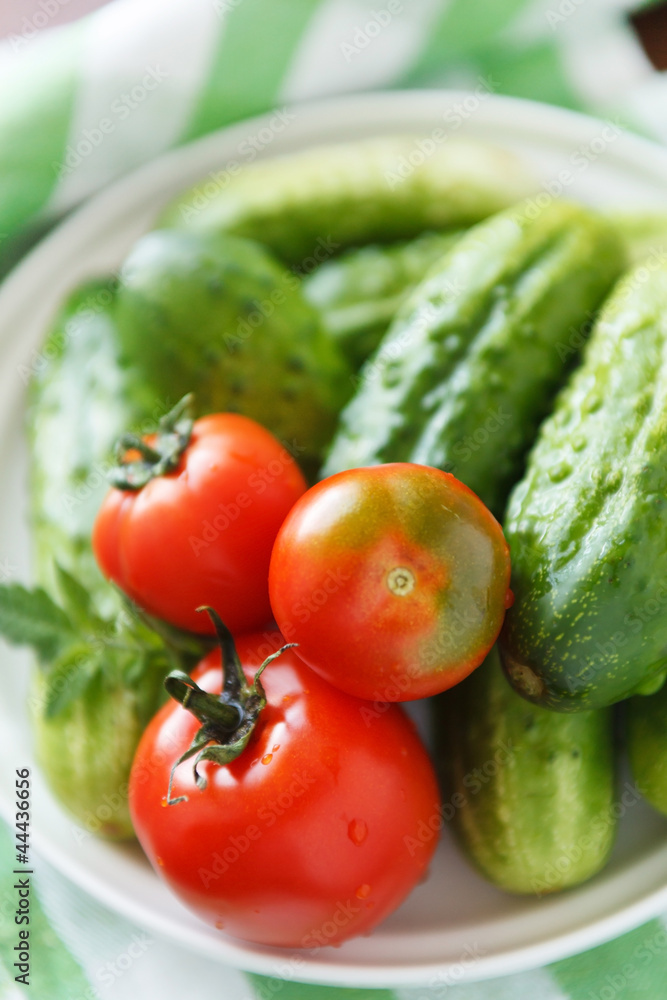 fresh vegetables fresh vegetables