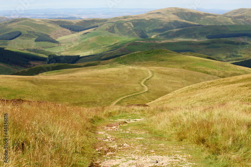 path meandering across grassy hills in Northumberland