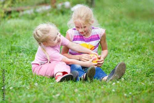 Two little girls playing in the meadow