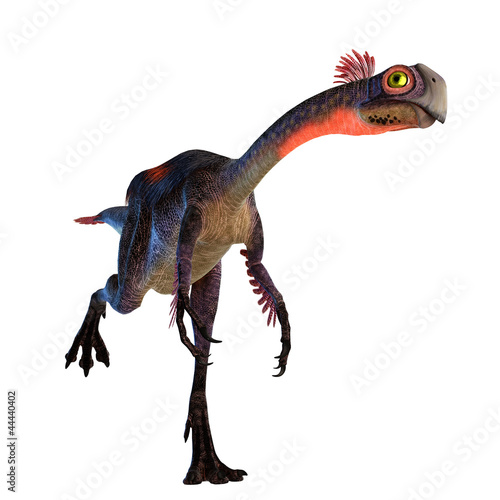 gigantoraptor running photo