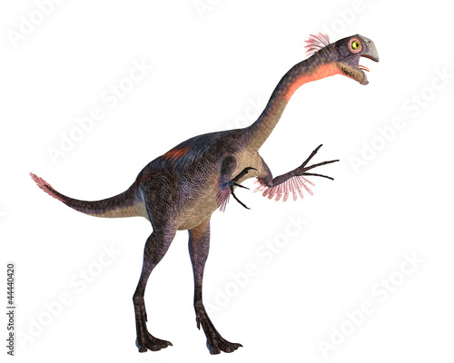 gigantoraptor walking © DM7